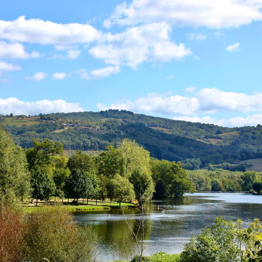 Rivière Dordogne à Beaulieu, végétation luxuriante