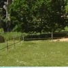 Pension Premium pour chevaux - Domaine de l'Ô - Gîte Périgord