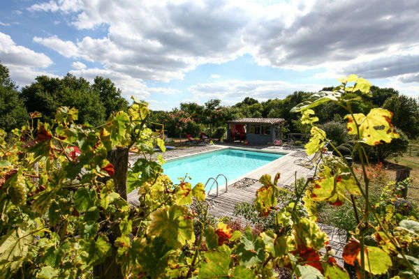 Vigne et piscine au Domaine de L'Ô - Dordogne